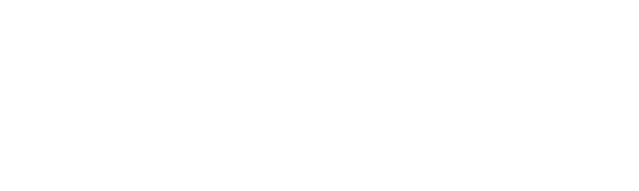 Sensient Cosmetics
