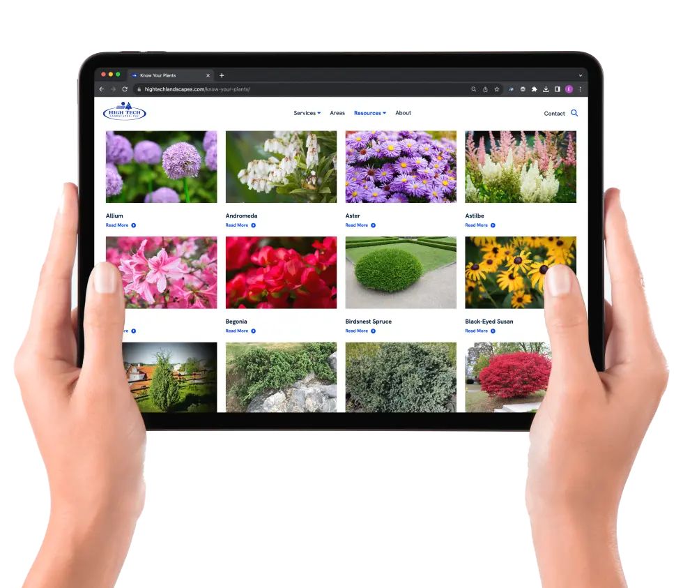 High Tech Landscapes