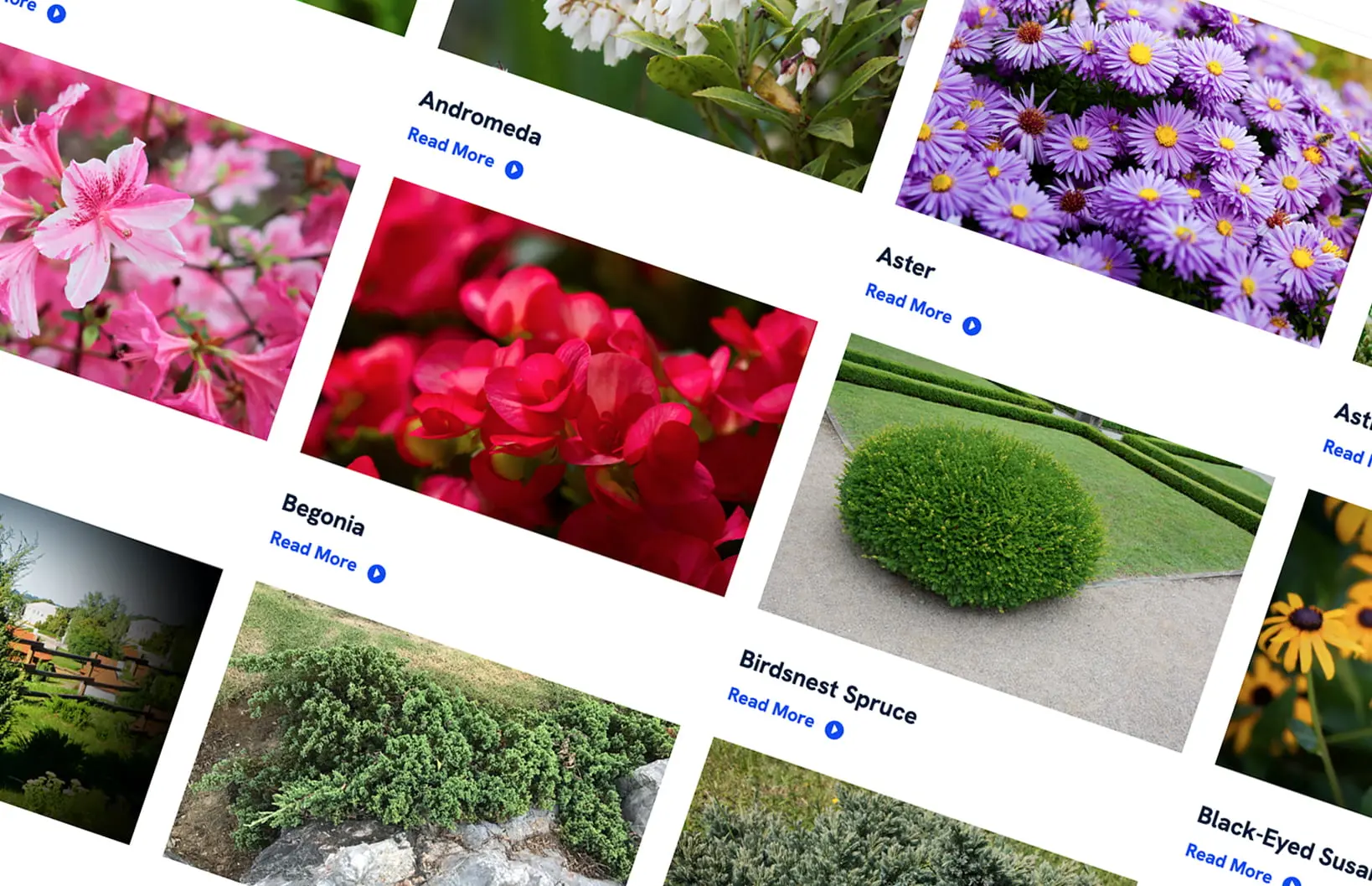 <h6>High Tech Landscapes</h6> Thumbnail